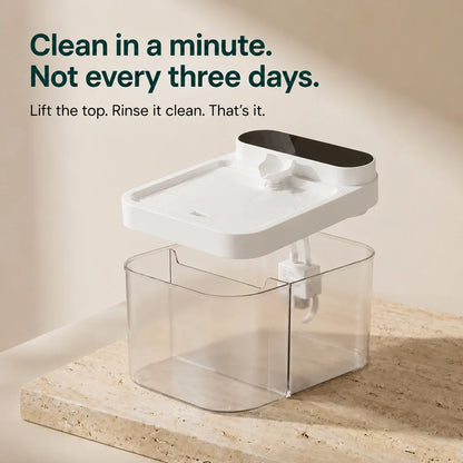 Tepaw Clear Filterless Cat Water Fountain – Electric Pet Water Dispenser with Transparent Dual-Tank