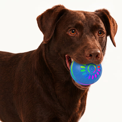 Interactive Bouncing Dog Ball – USB-Rechargeable Automatic Rolling Toy with Obstacle-Avoidance LED Lights