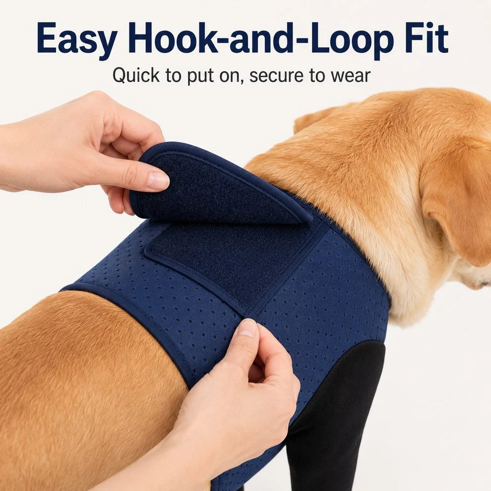 Supportive Front Leg Dog Brace – Dual Sleeve Recovery Wrap for Joint Stability and Wound Protection
