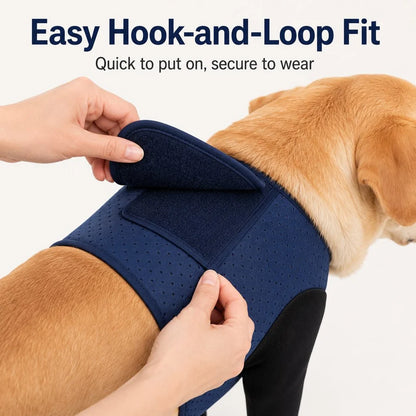 Supportive Front Leg Dog Brace – Dual Sleeve Recovery Wrap for Joint Stability and Wound Protection