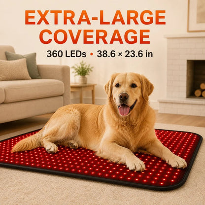 Red Light Therapy Pet Mat – Near-Infrared Dual-Wavelength LED Wellness Pad with Adjustable Controller for Dogs