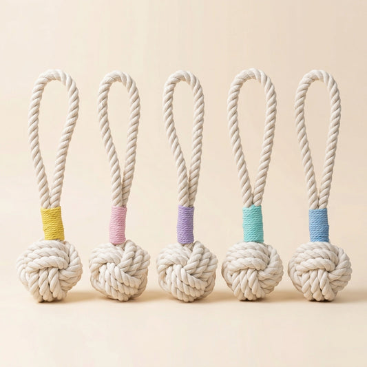 Rope Tug Toy