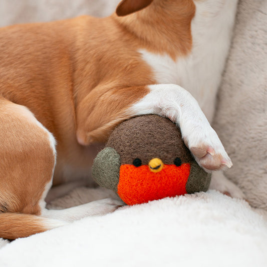 Robin Wool Dog and Cat Toy