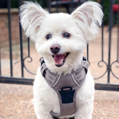 Dog Harness Beige