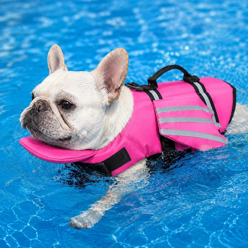 Reflective Wing Dog Life Jacket – High-Buoyancy Pet Swim Vest with Chin Float and Rescue Handle
