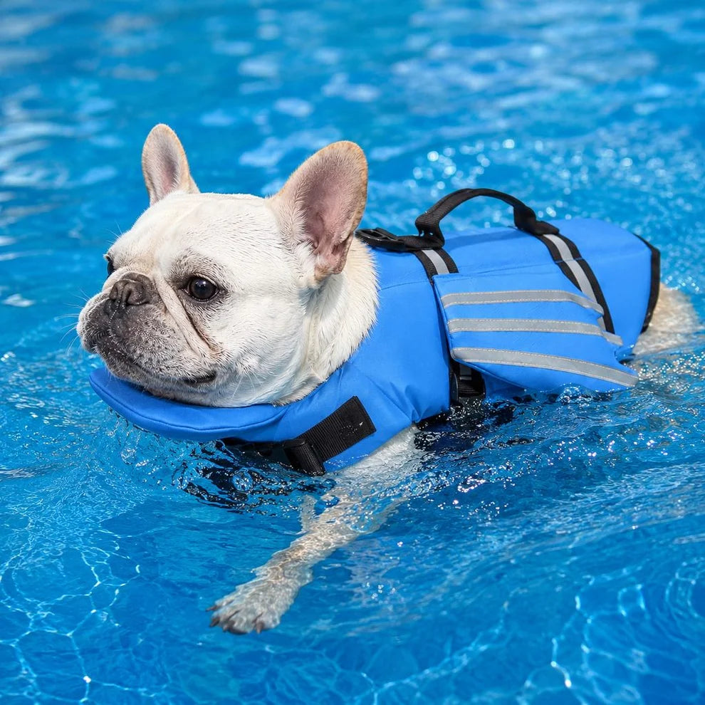 Reflective Wing Dog Life Jacket – High-Buoyancy Pet Swim Vest with Chin Float and Rescue Handle