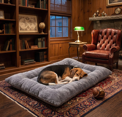 Tufted Padded Rectangular Pet Bed – Large Soft Floor Lounger Mat with Raised Bolster Edges for Dogs and Cats