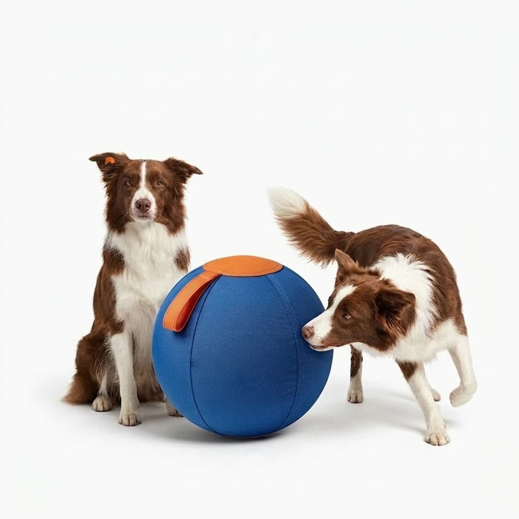 Interactive Heavy-Duty Dog Herding Ball – Puncture-Proof Outdoor Chase Toy with Grab Handle for High-Energy Breeds