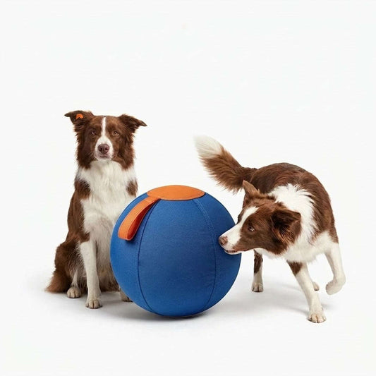 Interactive Heavy-Duty Dog Herding Ball – Puncture-Proof Outdoor Chase Toy with Grab Handle for High-Energy Breeds Zapawzy