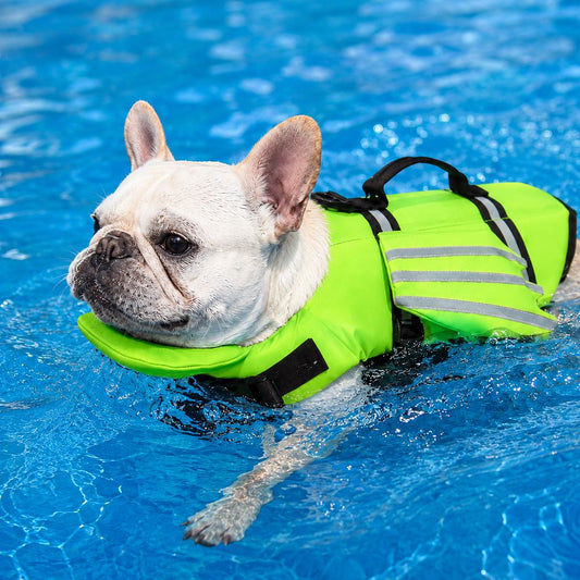 Reflective Wing Dog Life Jacket – High-Buoyancy Pet Swim Vest with Chin Float and Rescue Handle