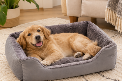 Rectangular Plush Cat Bed – Plush Cuddler Lounger with Low Front Step-In Entry for Cats and Dogs
