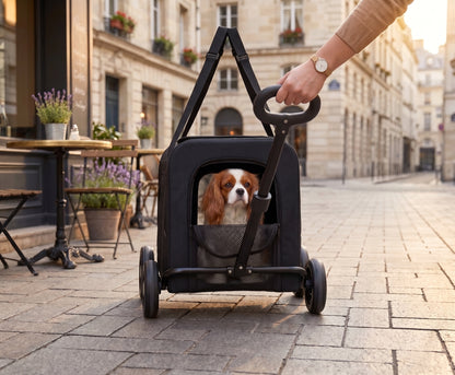 Foldable Detachable Pet Stroller Trolley – 2-in-1 Travel Trolley with Four Wheels Mesh Windows and Shoulder Strap
