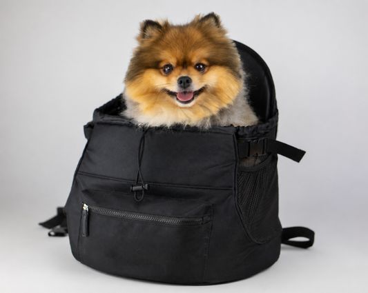 Pet Backpack Carrier