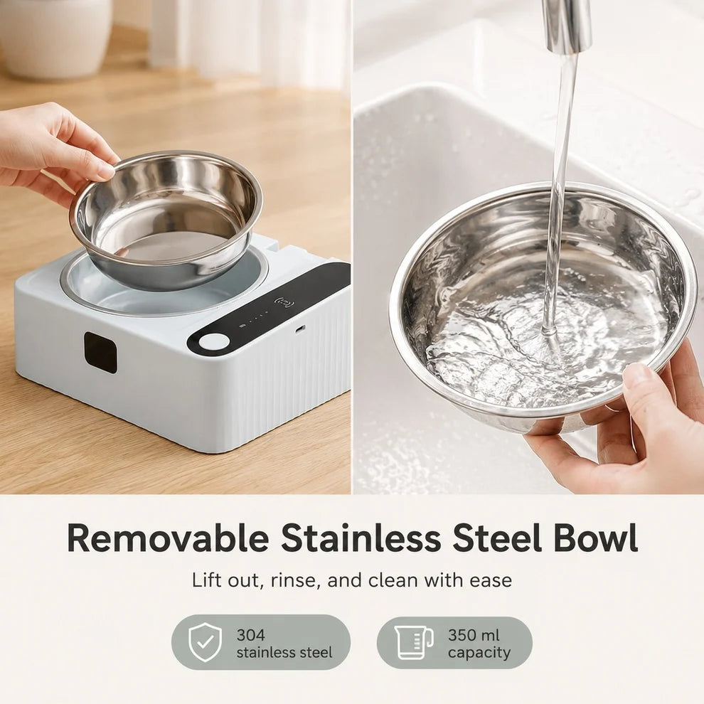 Pawzek Automatic Pet Feeder Motion Sensor Bowl with Stainless Steel Dish